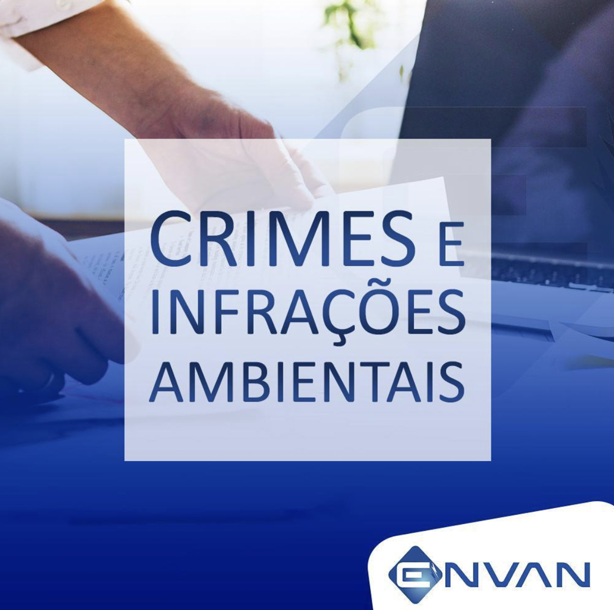 O que você precisa saber sobre Crimes Ambientais